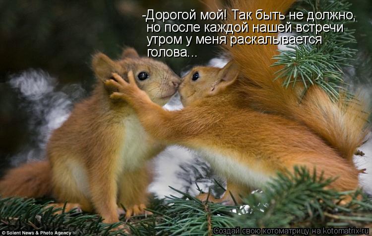 Котоматрица: -Дорогой мой! Так быть не должно,  но после каждой нашей встречи  утром у меня раскалывается голова...