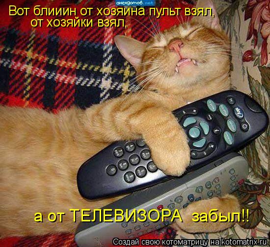 Котоматрица: Вот блииин от хозяина пульт взял,  от хозяйки взял, а от ТЕЛЕВИЗОРА  забыл!!