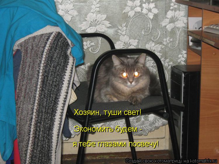 Котоматрица: Хозяин, туши свет! Экономить будем - я тебе глазами посвечу!
