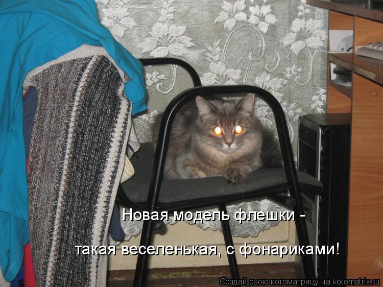 Котоматрица: Новая модель флешки - такая веселенькая, с фонариками!