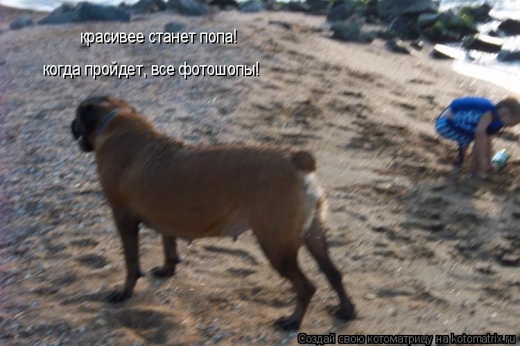 Котоматрица: красивее станет попа! когда пройдет, все фотошопы!