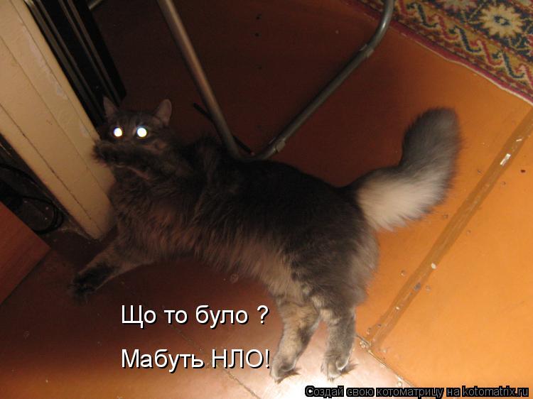 Котоматрица: Що то було ? Мабуть НЛО!