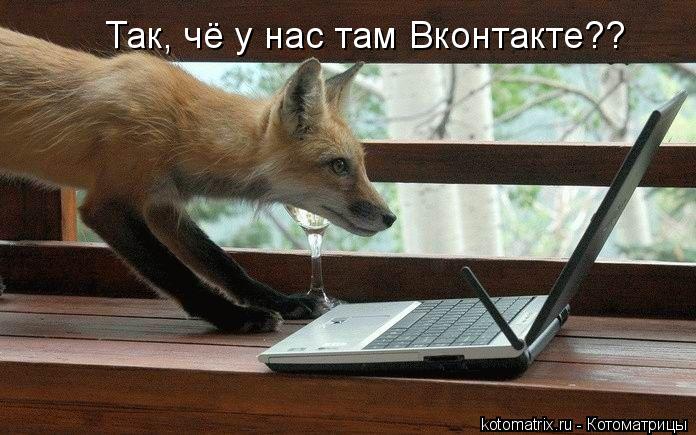 Котоматрица: Так, чё у нас там Вконтакте??
