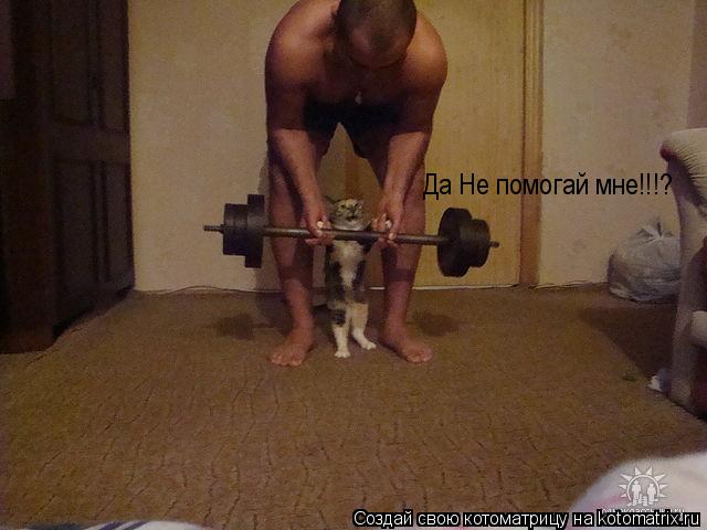 Котоматрица: Да Не помогай мне!!!?