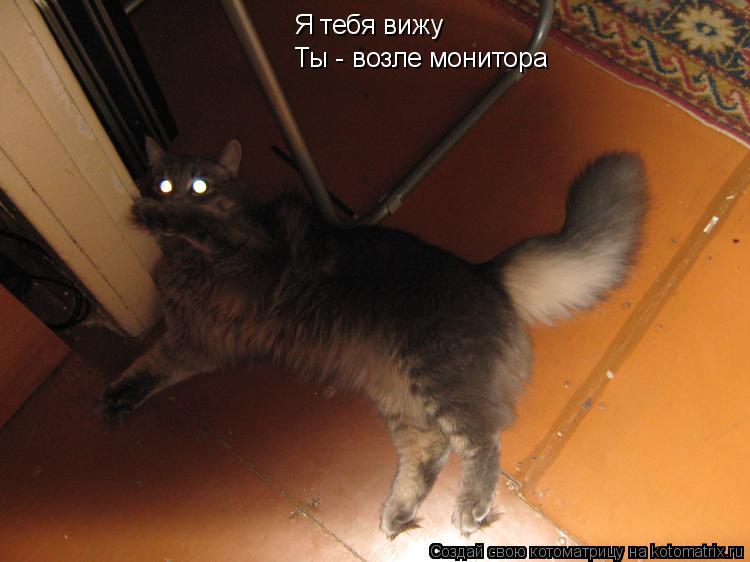Котоматрица: Я тебя вижу Ты - возле монитора