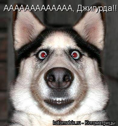 Котоматрица: ААААААААААААА, Джигурда!!!!