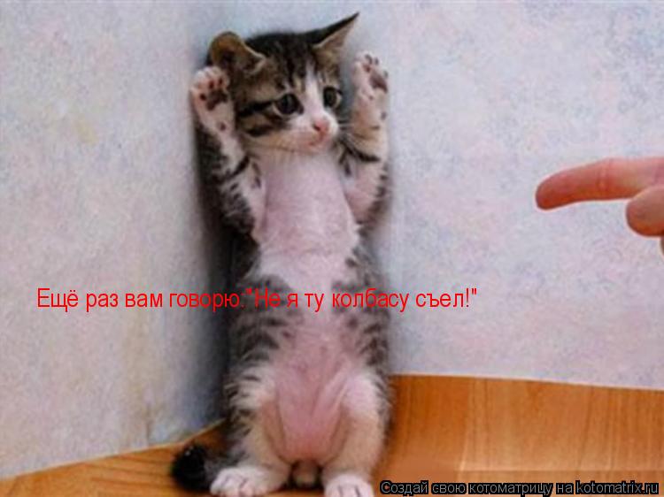 Котоматрица: Ещё раз вам говорю:"Не я ту колбасу съел!"