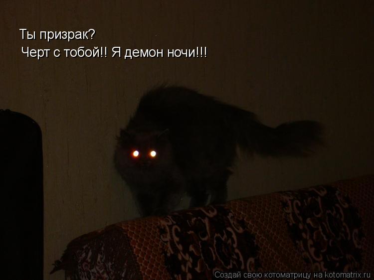 Котоматрица: Ты призрак? Черт с тобой!! Я демон ночи!!!