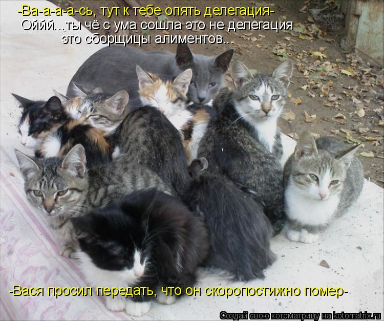 Котоматрица: -Ва-а-а-а-сь, тут к тебе опять делегация- Оййй...ты чё с ума сошла это не делегация это сборщицы алиментов... -Вася просил передать, что он скороп