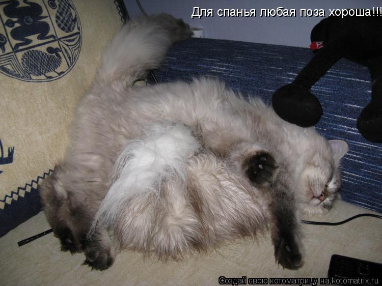 Котоматрица: Для спанья любая поза хороша!!!