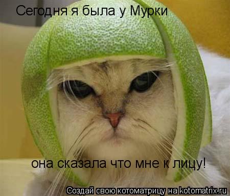 Котоматрица: Сегодня я была у Мурки она сказала что мне к лицу!