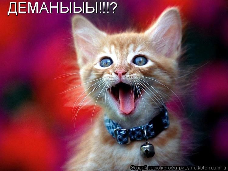 Котоматрица: ДЕМАНЫЫЫ!!!?