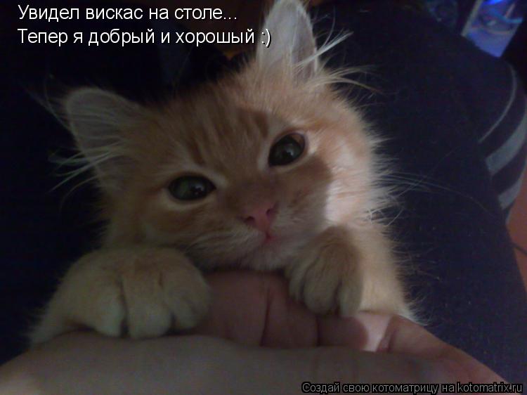 Котоматрица: Увидел вискас на столе... Тепер я добрый и хорошый :)