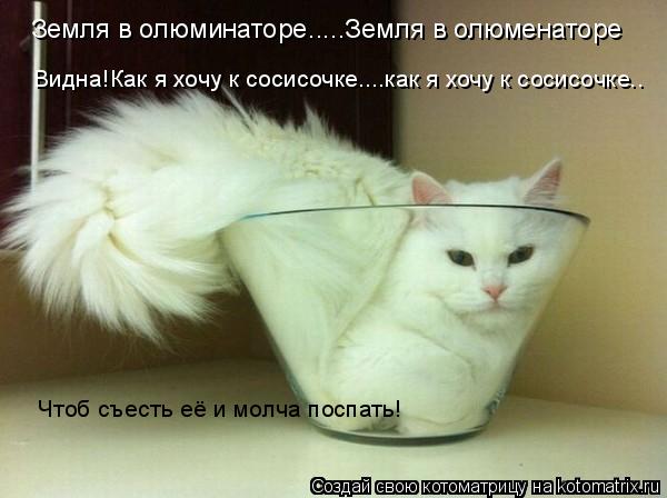 Котоматрица: Земля в олюминаторе.....Земля в олюменаторе Чтоб съесть её и молча поспать! Видна!Как я хочу к сосисочке....как я хочу к сосисочке..