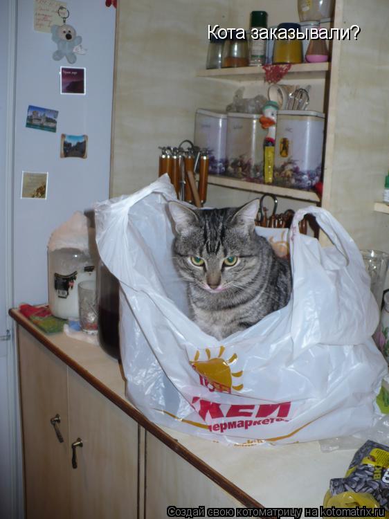 Котоматрица: Кота заказывали?