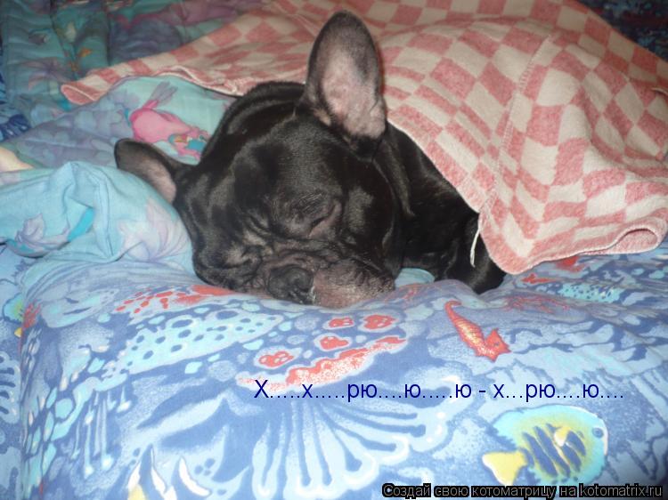 Котоматрица: Х.....х.....рю....ю.....ю - х...рю....ю....