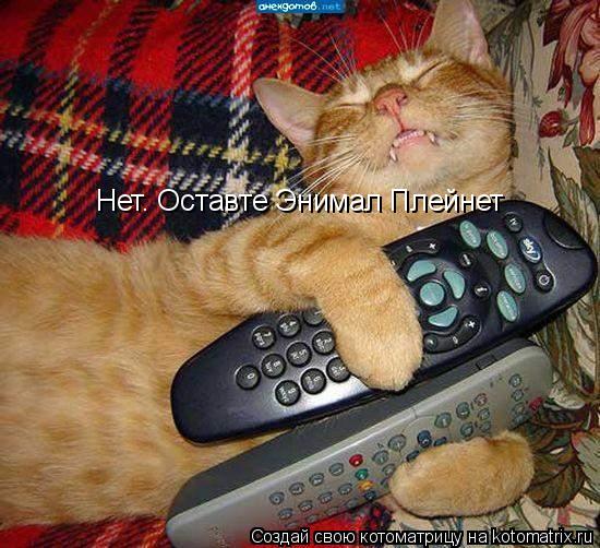 Котоматрица: Нет. Оставте Энимал Плейнет