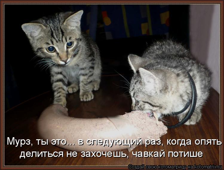 Мурз, ты это... в следующий раз, когда опять делиться не захочешь, чавкай потише... Котоматрица: Мурз, ты это... в следующий раз, когда опять делиться не захочешь, чавкай потише
