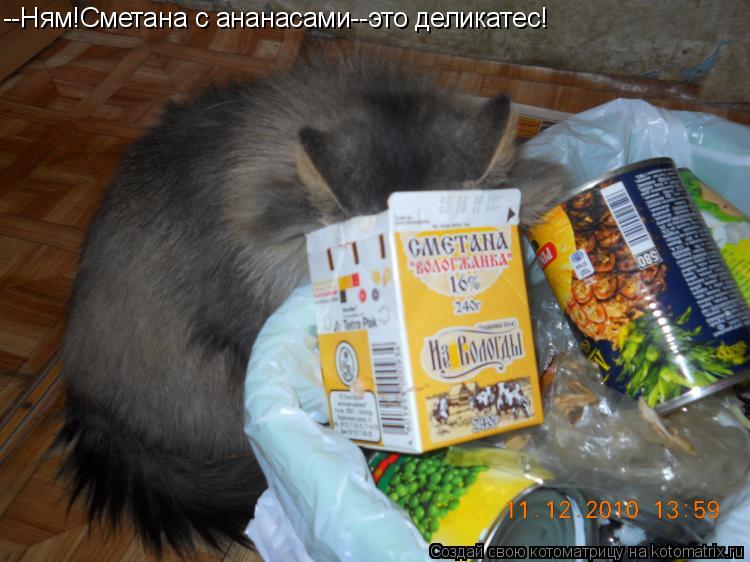 Котоматрица: --Ням!Сметана с ананасами--это деликатес!