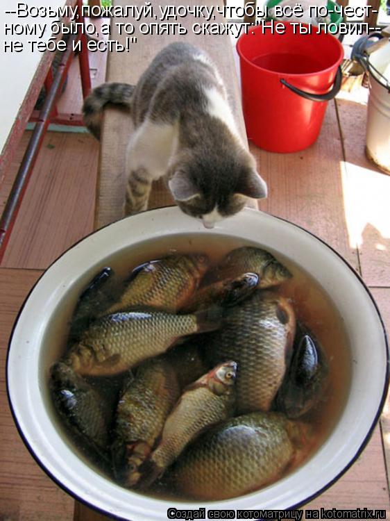 Котоматрица: --Возьму,пожалуй,удочку,чтобы всё по-чест- ному было,а то опять скажут:"Не ты ловил-- не тебе и есть!"