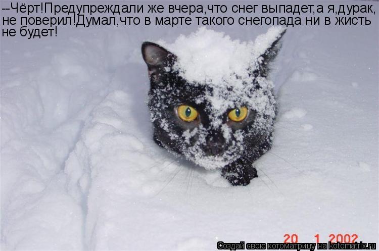 Котоматрица: --Чёрт!Предупреждали же вчера,что снег выпадет,а я,дурак, не поверил!Думал,что в марте такого снегопада ни в жисть не будет!