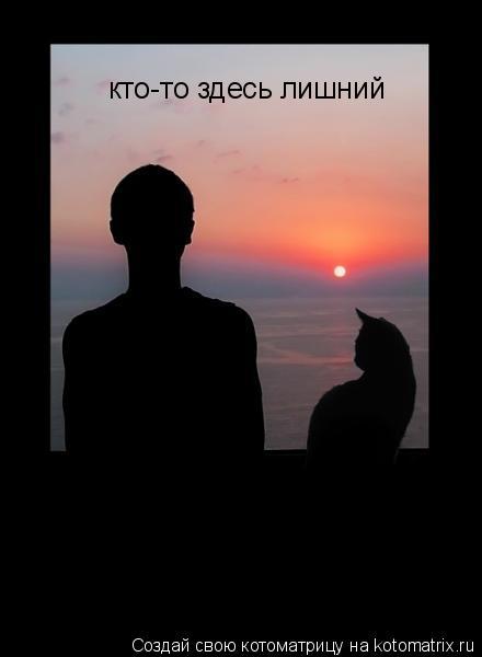 Котоматрица: кто-то здесь лишний