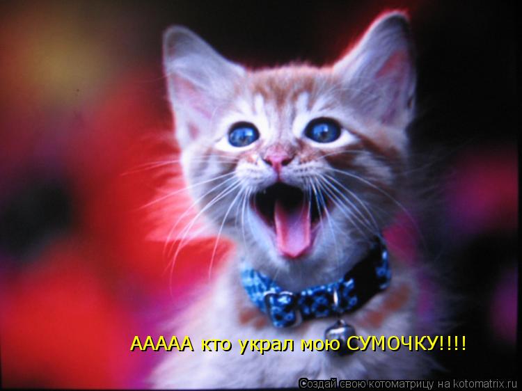 Котоматрица: ААААА кто украл мою СУМОЧКУ!!!!