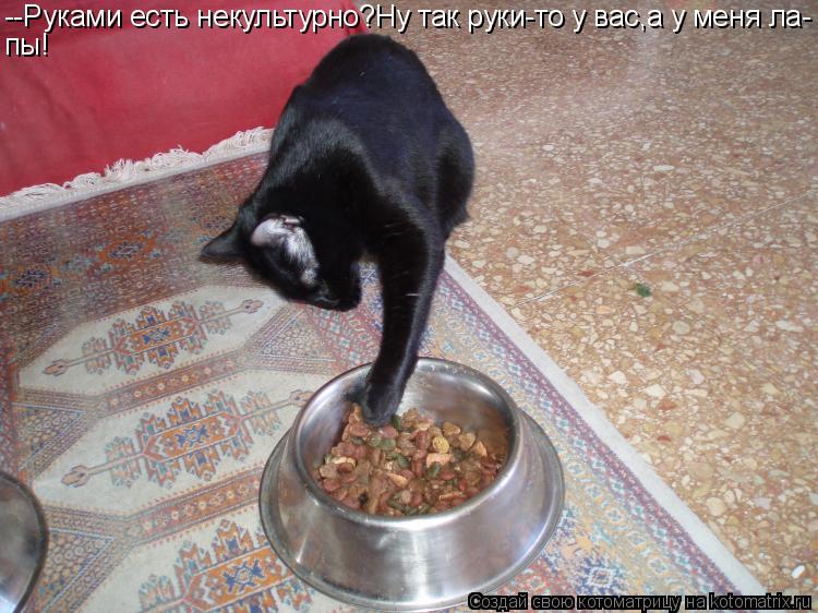 Котоматрица: --Руками есть некультурно?Ну так руки-то у вас,а у меня ла- пы!