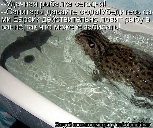 Котоматрица: --Удачная рыбалка сегодня! --Санитары,давайте сюда!Убедитесь са- ми:Барсик действительно ловит рыбу в ванне,так что можете забирать!