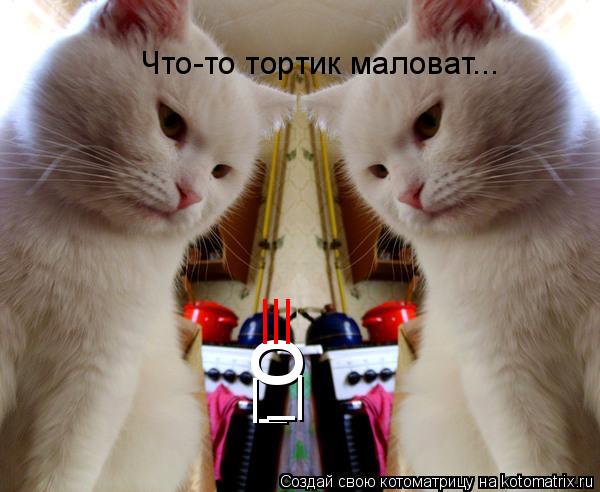 Котоматрица: о |_ _| ||| Что-то тортик маловат...