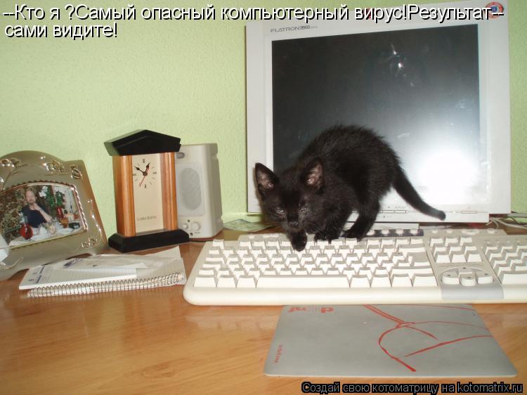 Котоматрица: --Кто я ?Самый опасный компьютерный вирус!Результат-- сами видите!