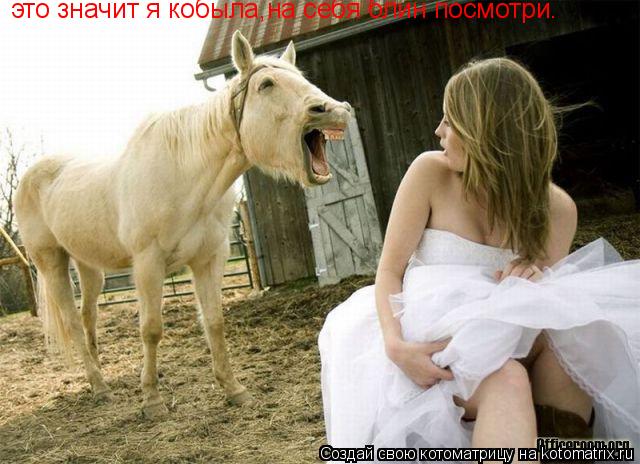 Котоматрица: это значит я кобыла,на себя блин посмотри.