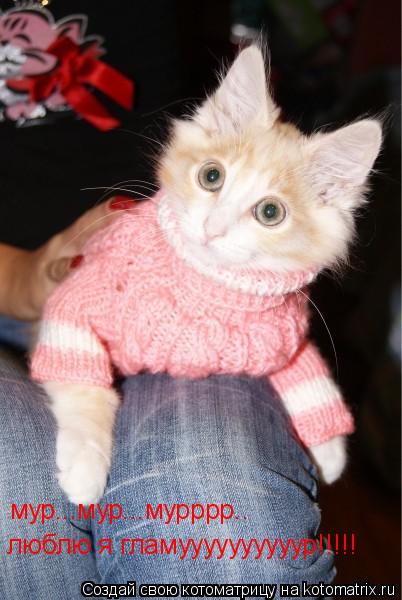 Котоматрица: мур...мур...мурррр.. люблю я гламуууууууууур!!!!!