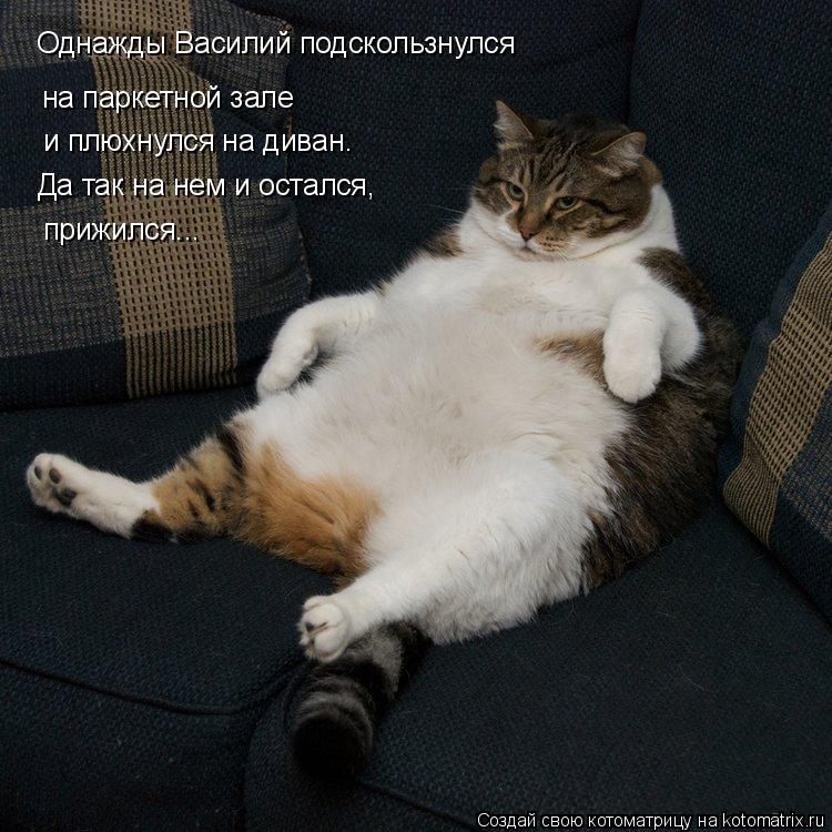Котоматрица: Однажды Василий подскользнулся на паркетной зале и плюхнулся на диван. Да так на нем и остался, прижился...