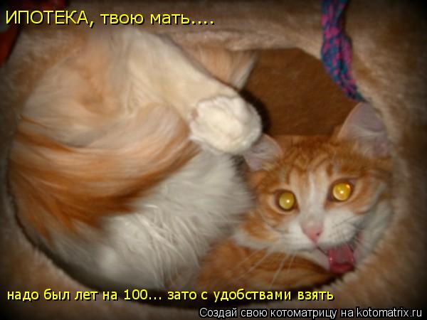 Котоматрица: надо был лет на 100... зато с удобствами взять ИПОТЕКА, твою мать....