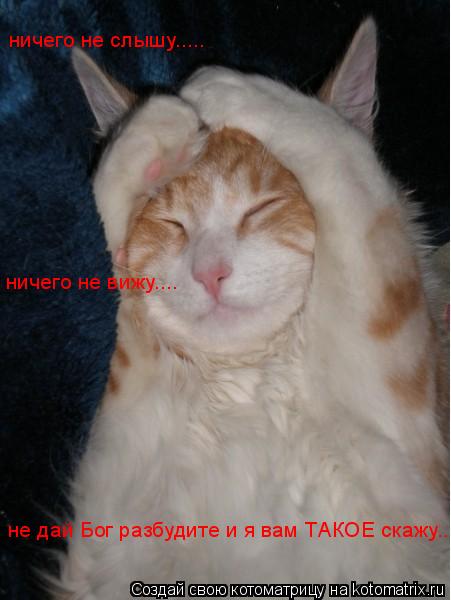 Котоматрица: ничего не вижу.... ничего не слышу..... не дай Бог разбудите и я вам ТАКОЕ скажу...