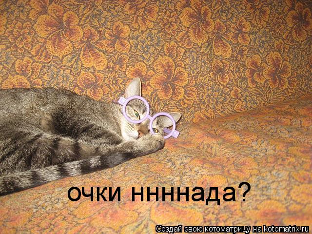 Котоматрица: очки ннннада?