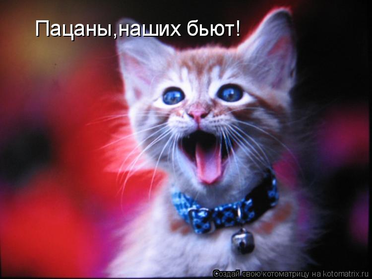 Котоматрица: Пацаны,наших бьют!