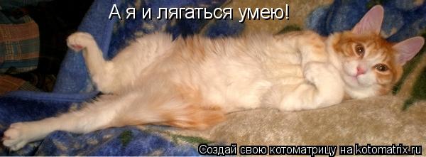 Котоматрица: А я и лягаться умею!