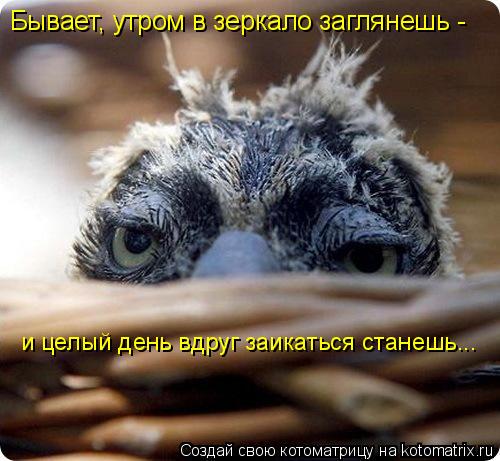 Бывает, утром в зеркало заглянешь - и целый день вдруг заикаться станешь...... Котоматрица: Бывает, утром в зеркало заглянешь - и целый день вдруг заикаться станешь...