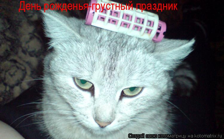 День рожденья-грустный праздник... Котоматрица: День рожденья-грустный праздник