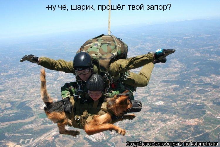 -ну чё, шарик, прошёл твой запор?... Котоматрица: -ну чё, шарик, прошёл твой запор?