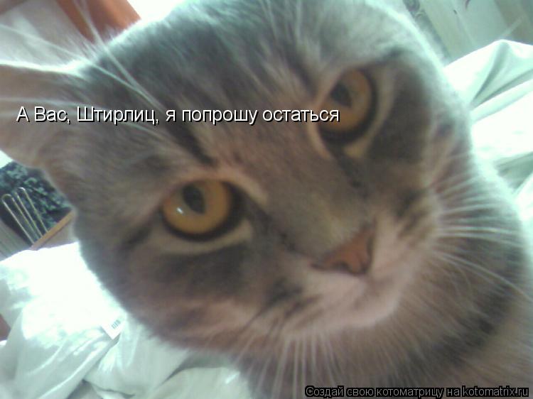 А Вас, Штирлиц, я попрошу остаться... Котоматрица: А Вас, Штирлиц, я попрошу остаться