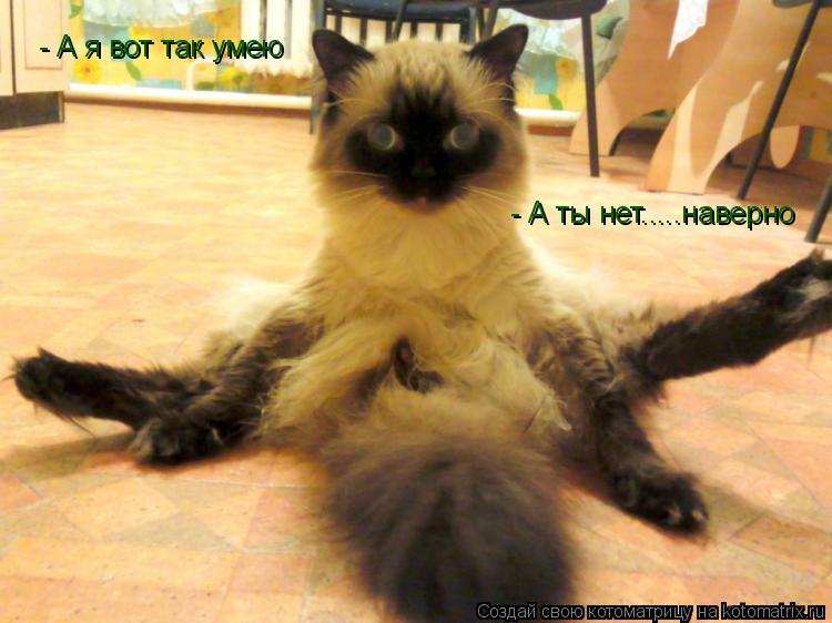 Котоматрица: - А я вот так умею - А ты нет.....наверно