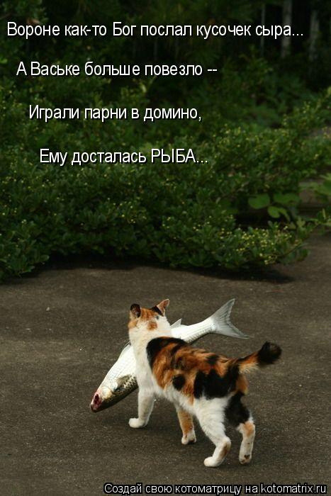 Вороне как-то Бог послал кусочек сыра... А Ваське больше повезло -- Играли парни в домино, Ему достал... Котоматрица: Вороне как-то Бог послал кусочек сыра... А Ваське больше повезло -- Играли парни в домино, Ему досталась РЫБА...