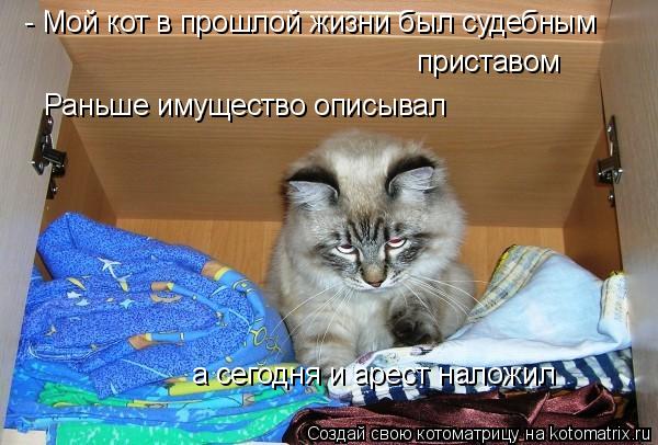 - Мой кот в прошлой жизни был судебным приставом Раньше имущество описывал а сегодня и арест наложи... Котоматрица: - Мой кот в прошлой жизни был судебным приставом Раньше имущество описывал а сегодня и арест наложил