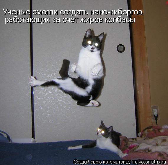 Котоматрица: Ученые смогли создать нано-киборгов. работающих за счет жиров колбасы