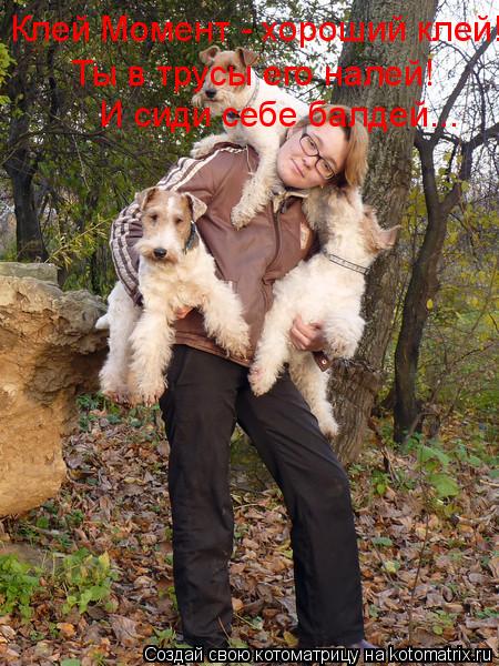 Клей Момент - хороший клей! Ты в трусы его налей! И сиди себе балдей...... Котоматрица: Клей Момент - хороший клей! Ты в трусы его налей! И сиди себе балдей...