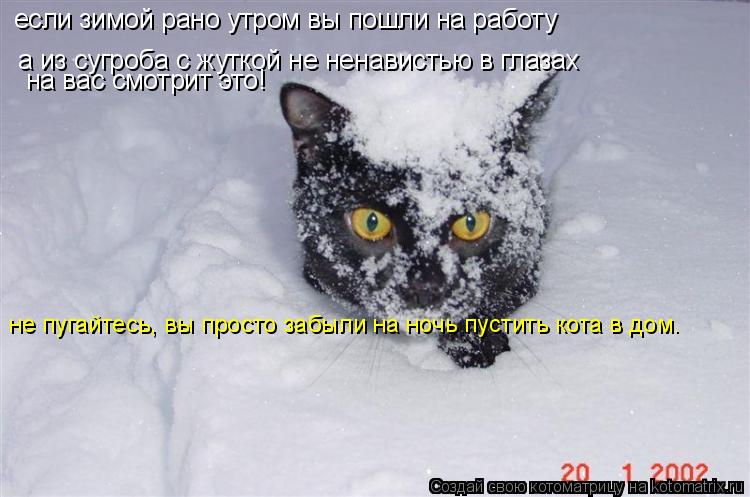 если зимой рано утром вы пошли на работу а из сугроба с жуткой не ненавистью в глазах на вас смотрит... Котоматрица: если зимой рано утром вы пошли на работу а из сугроба с жуткой не ненавистью в глазах на вас смотрит это! не пугайтесь, вы просто забыли на н