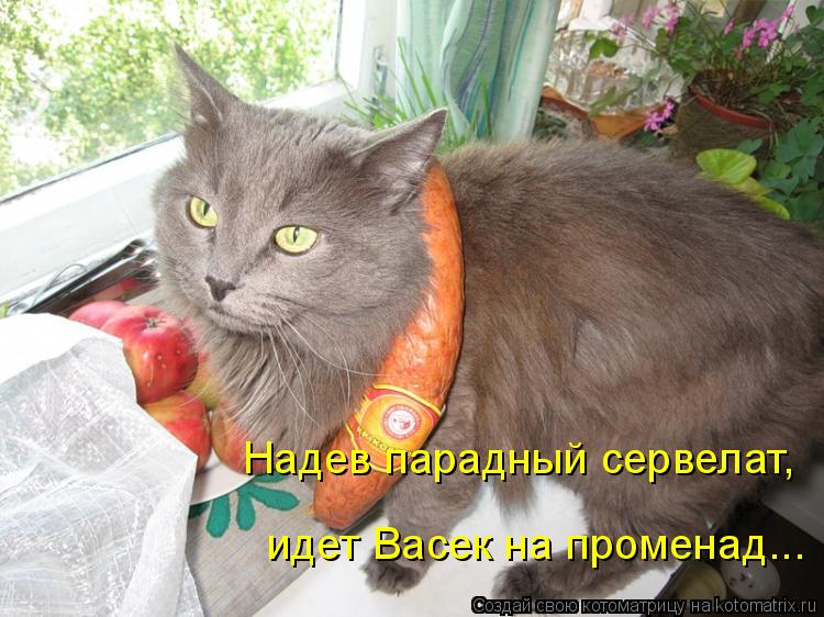 Надев парадный сервелат, идет Васек на променад...... Котоматрица: Надев парадный сервелат, идет Васек на променад...